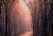 布拉格斯巴达主场战胜希伯尼亚,取得欧洲联赛首胜