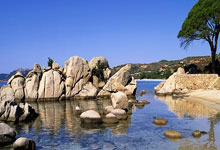 梅因茨取得关键胜利,逼近保级成功