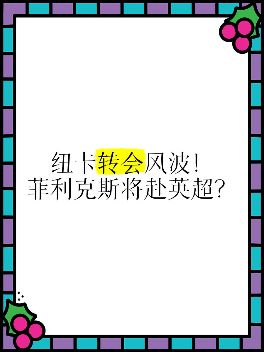 纽卡将放弃追求维萨，转向其他引援目